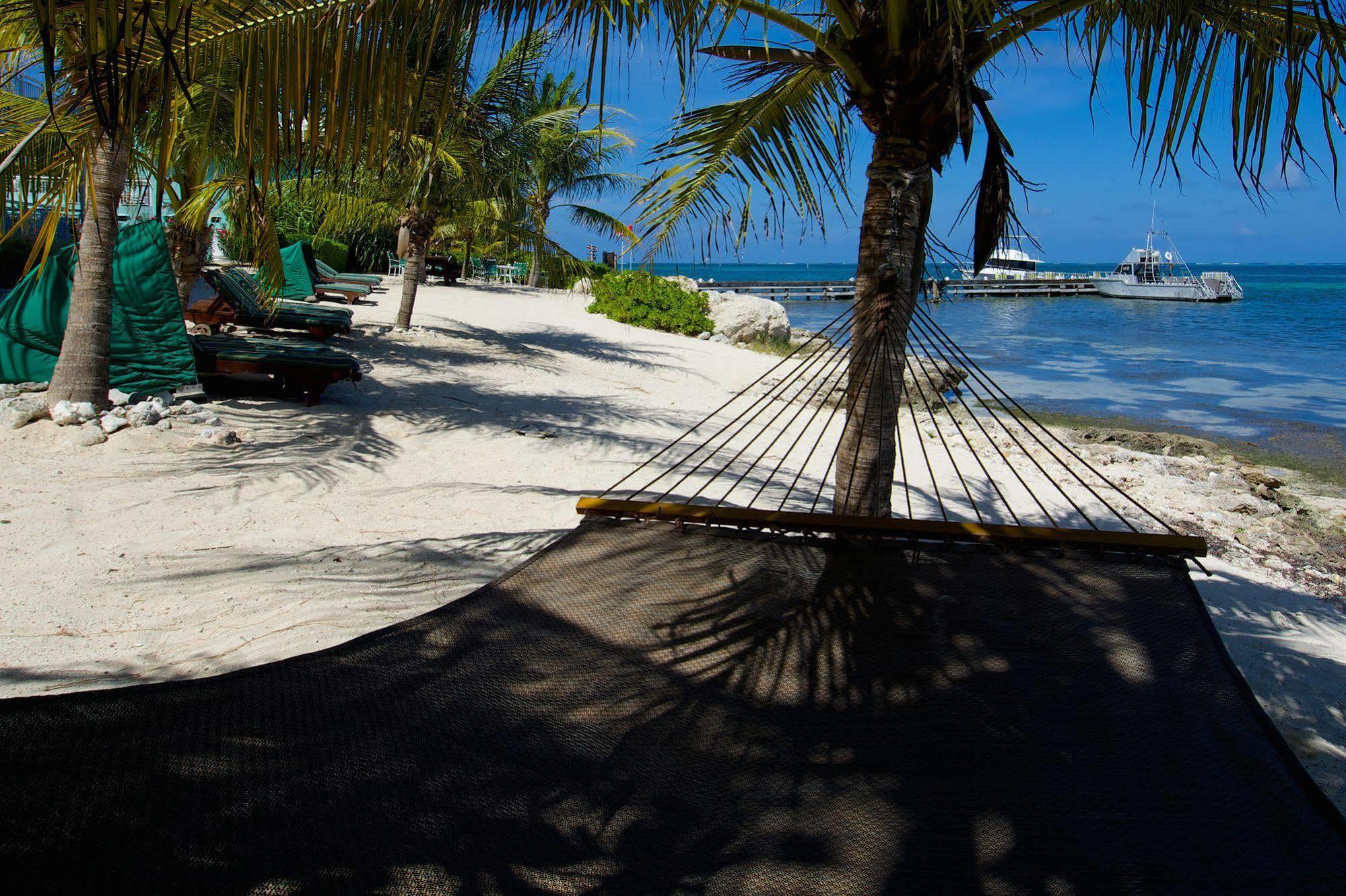 Compass Point Dive Resort Gun Bay Exterior foto